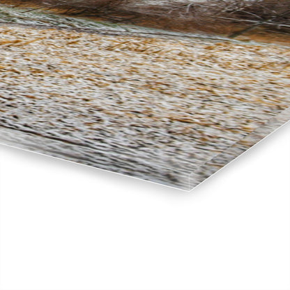 U R There Photography Hough Road Hidden Winter Red II Rustic Farmhouse Acrylic Wall Print