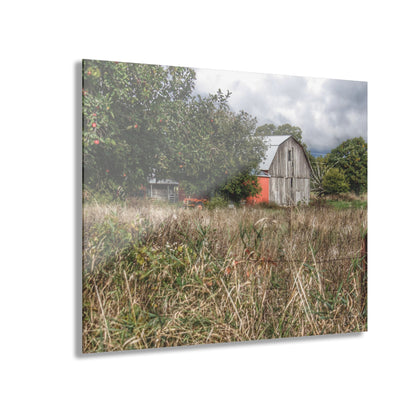 U R There Photography East Frances Road Hidden Grey I Rustic Farmhouse Acrylic Wall Print