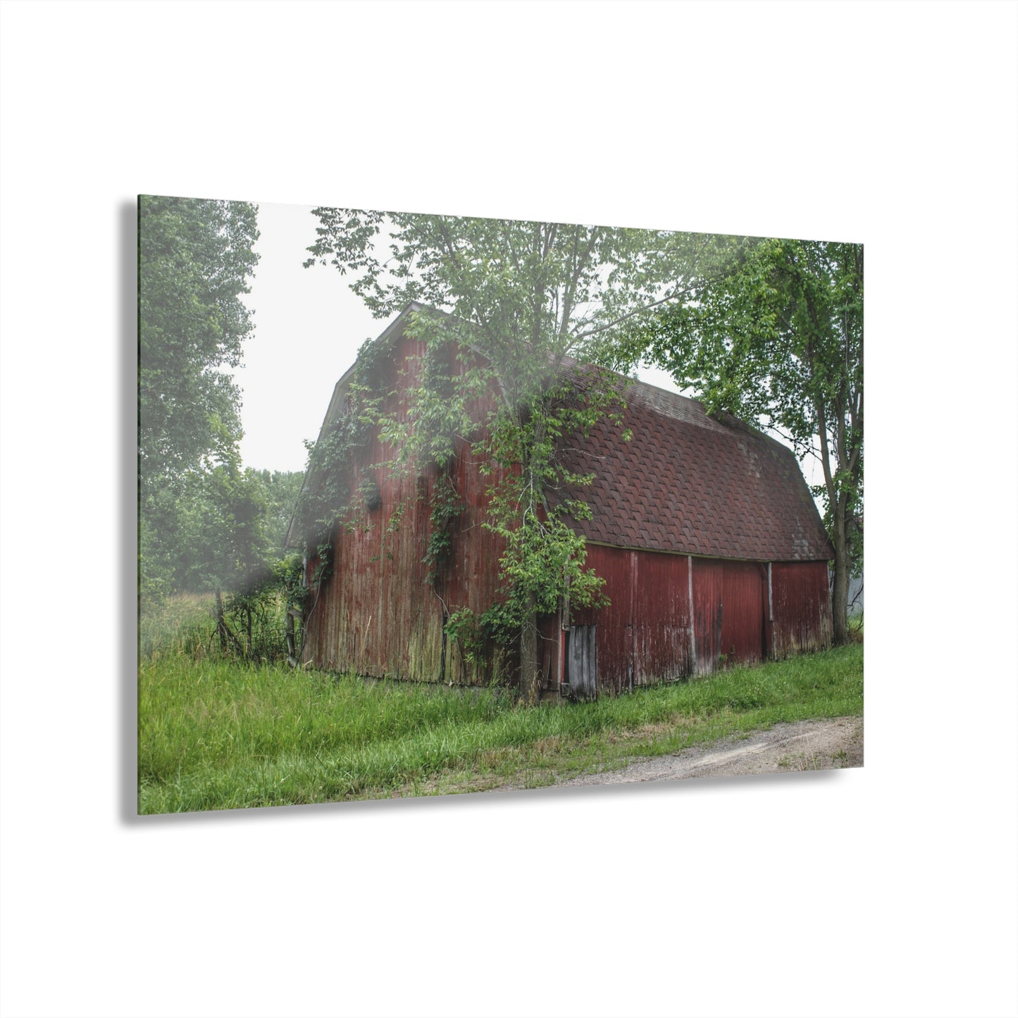 U R There Photography West Murphy Lake Red Rustic Farmhouse Acrylic Wall Print