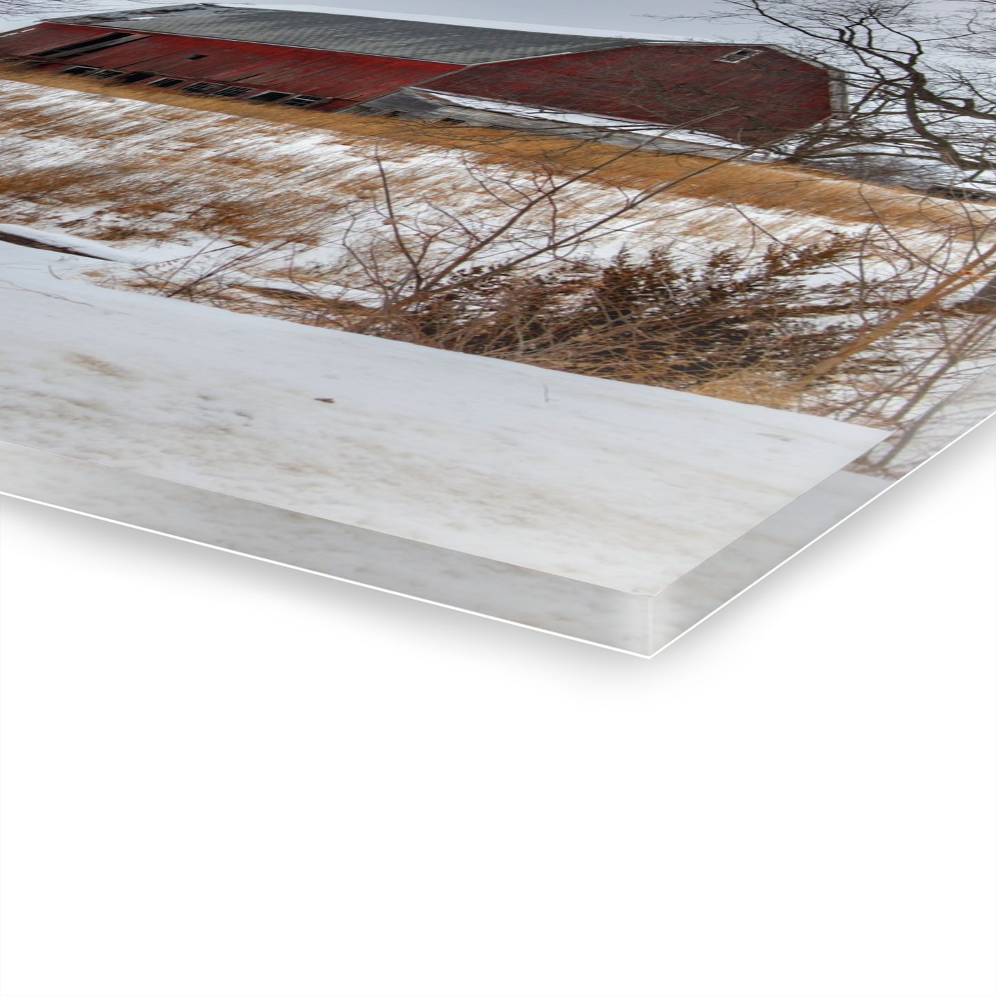 U R There Photography Hadley Red II Rustic Farmhouse Acrylic Wall Print