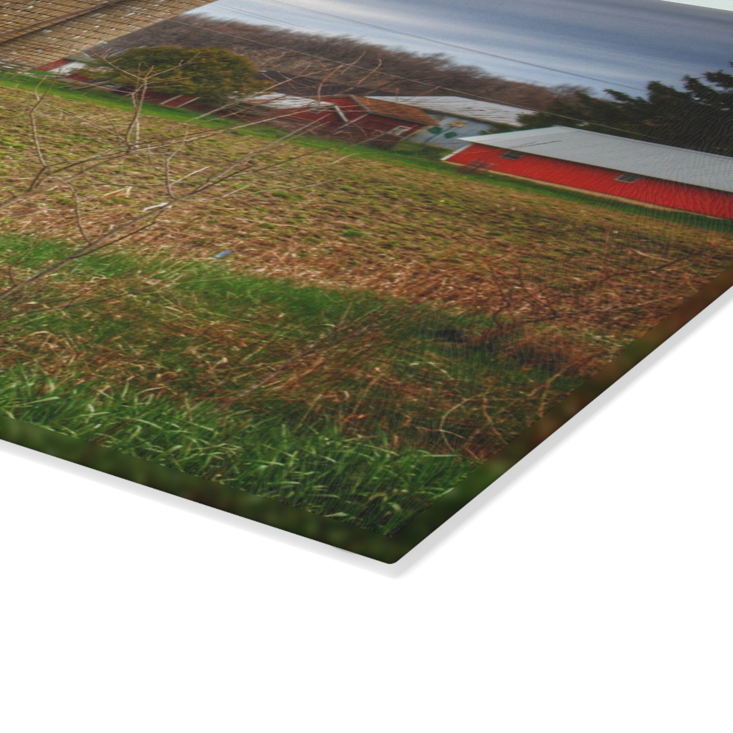 U R There Photography Fostoria Road Quonset Rustic Farmhouse Tempered-Glass Cutting Board