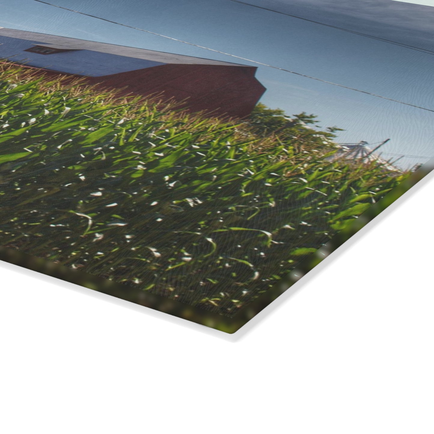 U R There Photography Above the Corn on Tuscola Road Rustic Farmhouse Tempered-Glass Cutting Board