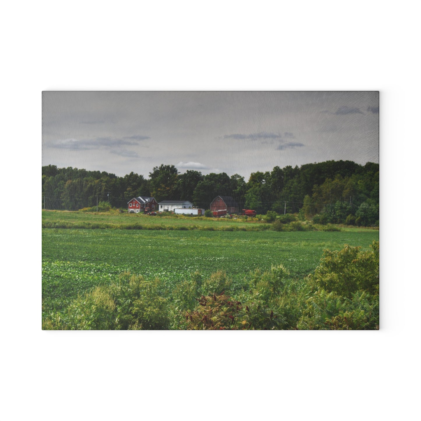 U R There Photography Across the Field in Silverwood Rustic Farmhouse Tempered-Glass Cutting Board