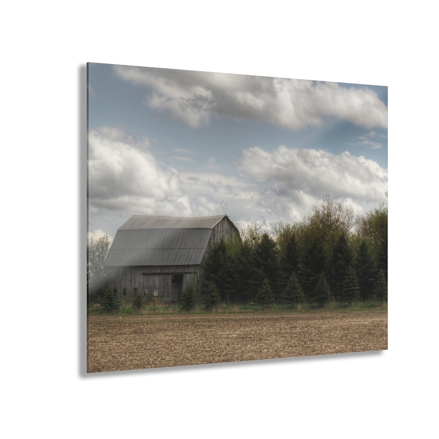 U R There Photography Sandusky Grey in the Pines Rustic Farmhouse Acrylic Wall Print