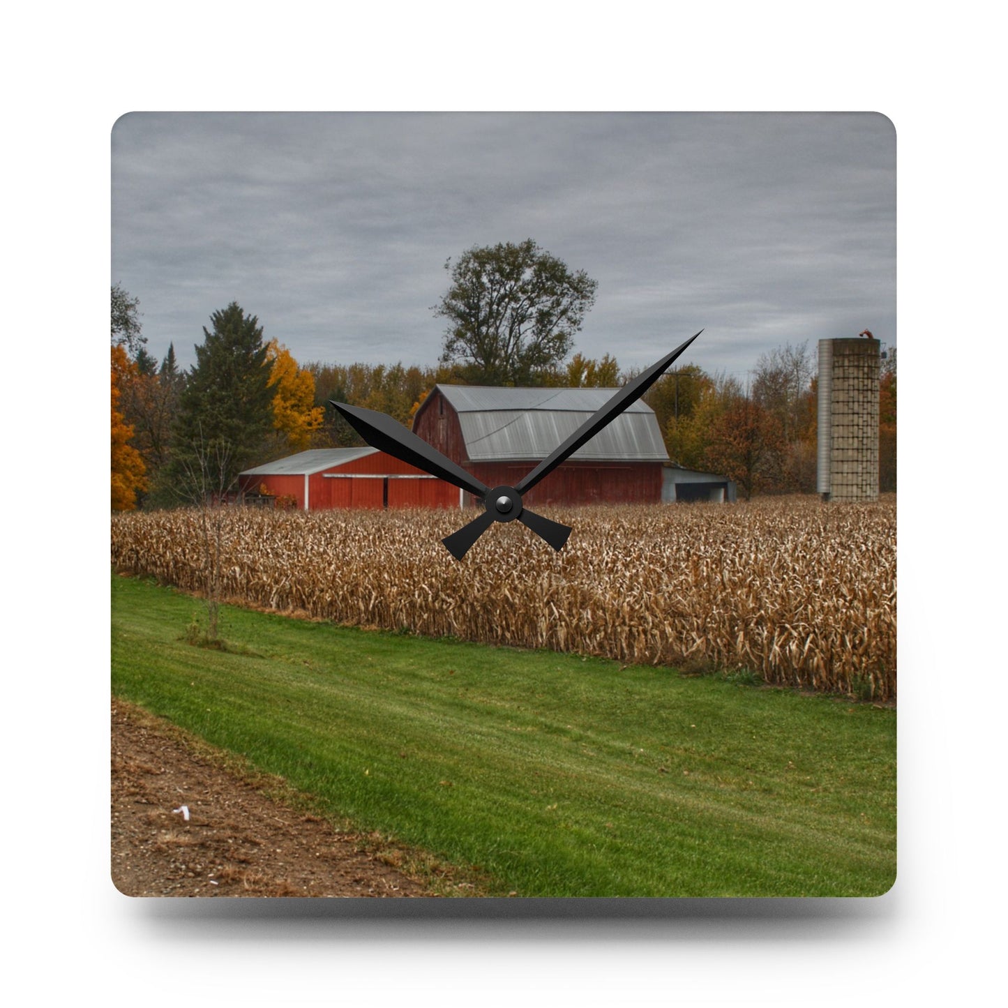 U R There Photography Birch Run Road Reds Rustic Farmhouse Acrylic Analog Wall Clock