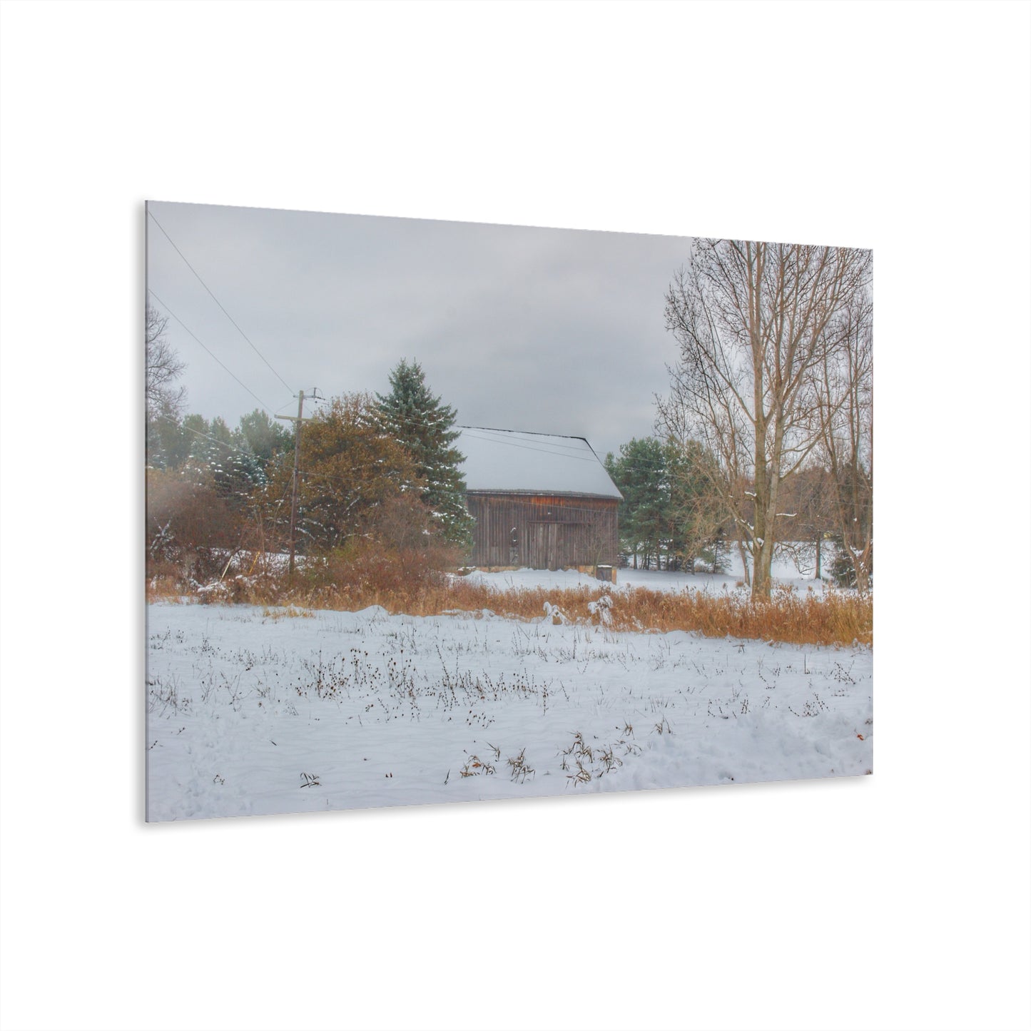 U R There Photography Hosner Road Grey in Late Fall Rustic Farmhouse Acrylic Wall Print