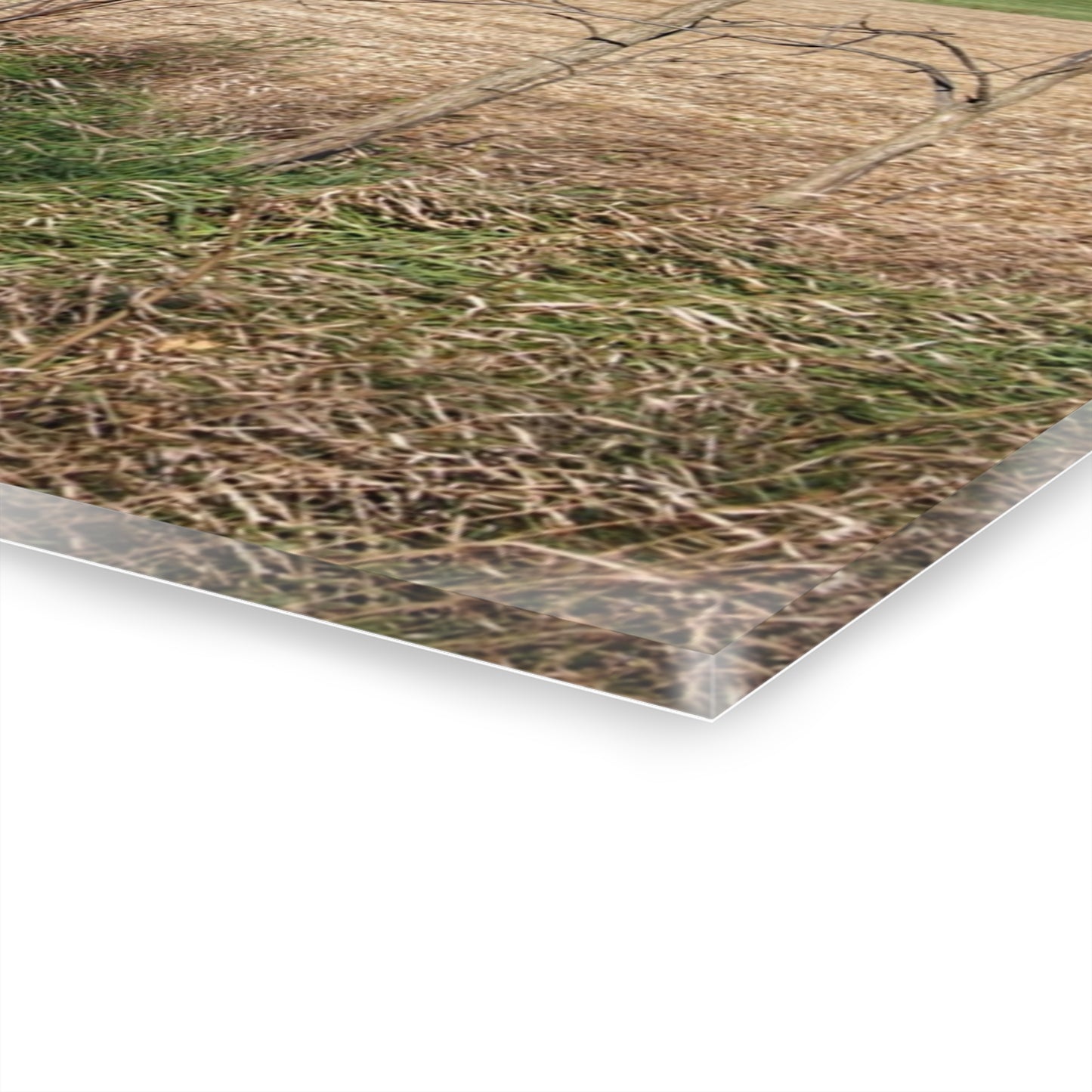 U R There Photography Fall on Piersonville Road Rustic Farmhouse Acrylic Wall Print