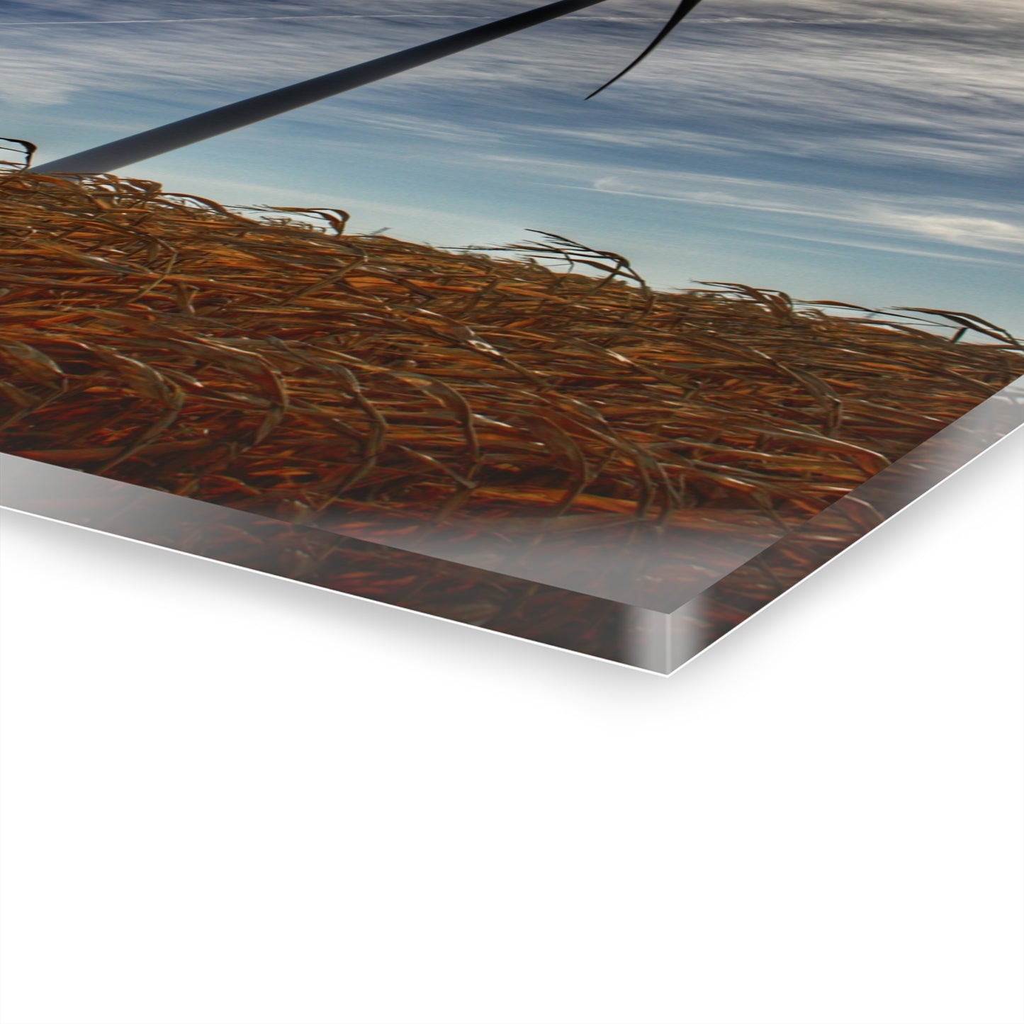 U R There Photography North Gera Road Windmill Rustic Farmhouse Acrylic Wall Print