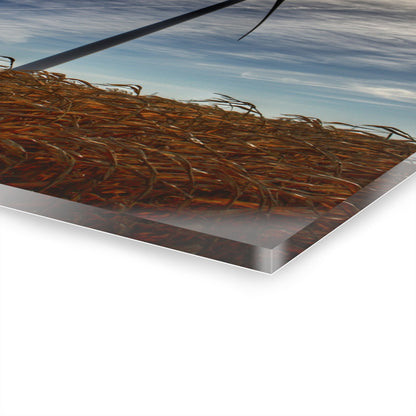 U R There Photography North Gera Road Windmill Rustic Farmhouse Acrylic Wall Print