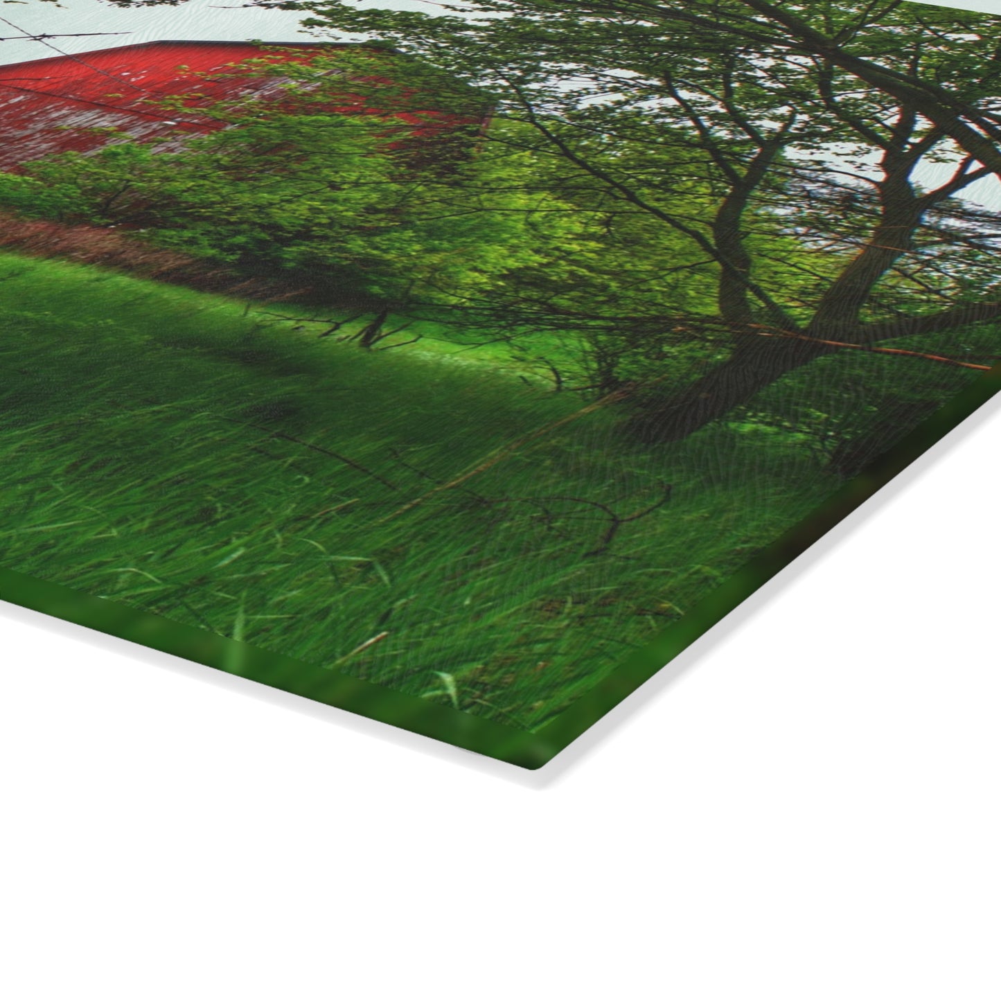 U R There Photography Bird Road Red Rustic Farmhouse Tempered-Glass Cutting Board