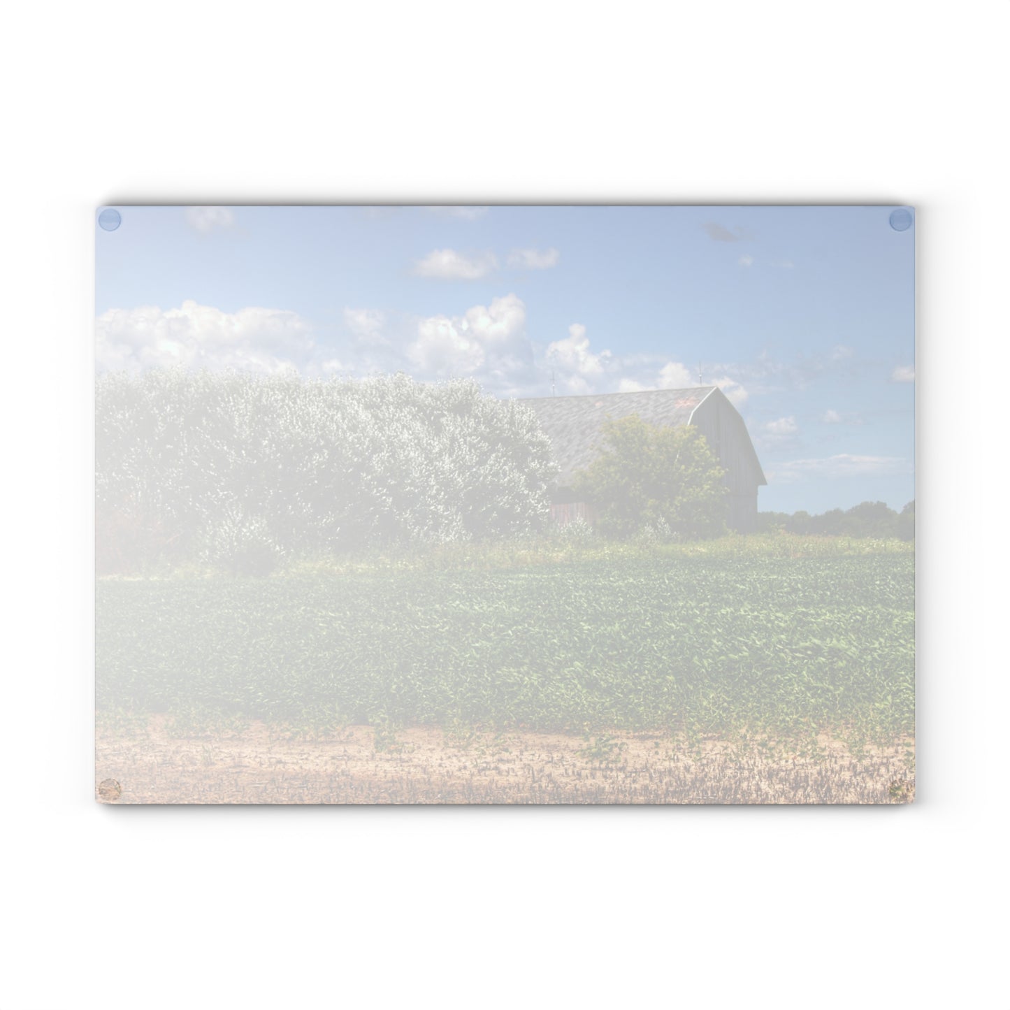 U R There Photography Lake Road Grey Rustic Farmhouse Tempered-Glass Cutting Board