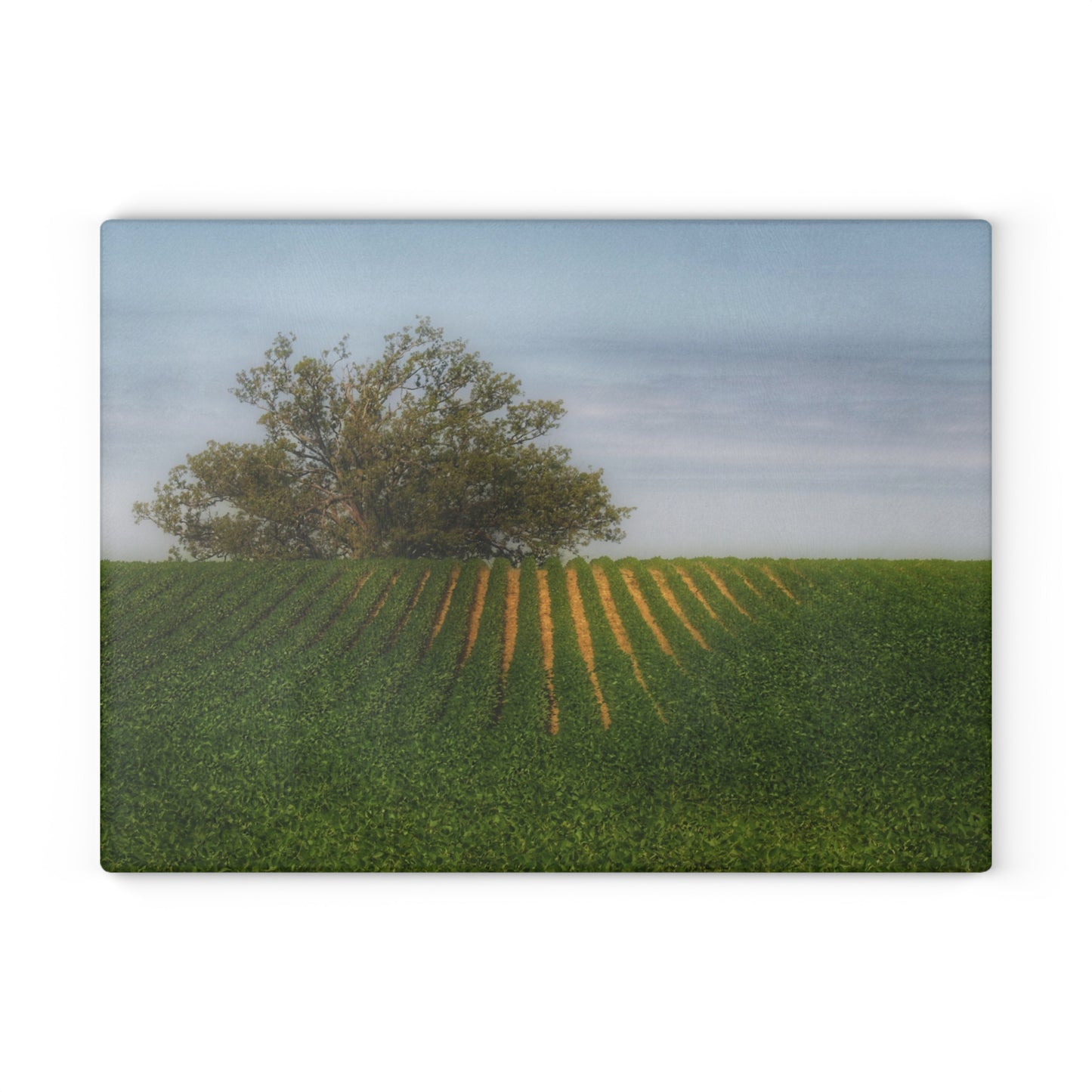 U R There Photography Tree Overlooking Farm Field Rustic Farmhouse Tempered-Glass Cutting Board