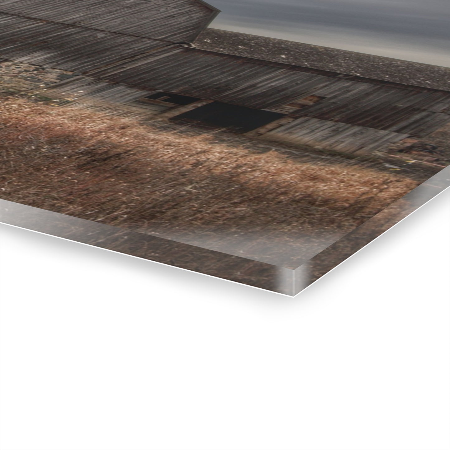 U R There Photography Majestic Grey Rustic Farmhouse Acrylic Wall Print