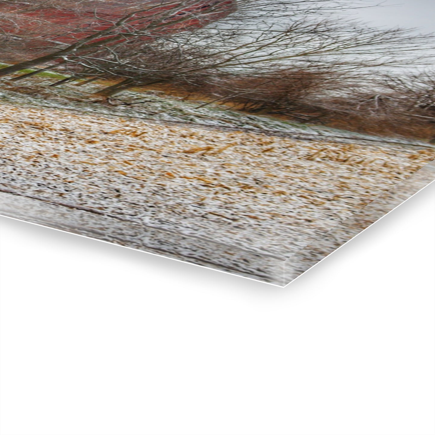 U R There Photography Hough Road Hidden Winter Red II Rustic Farmhouse Acrylic Wall Print