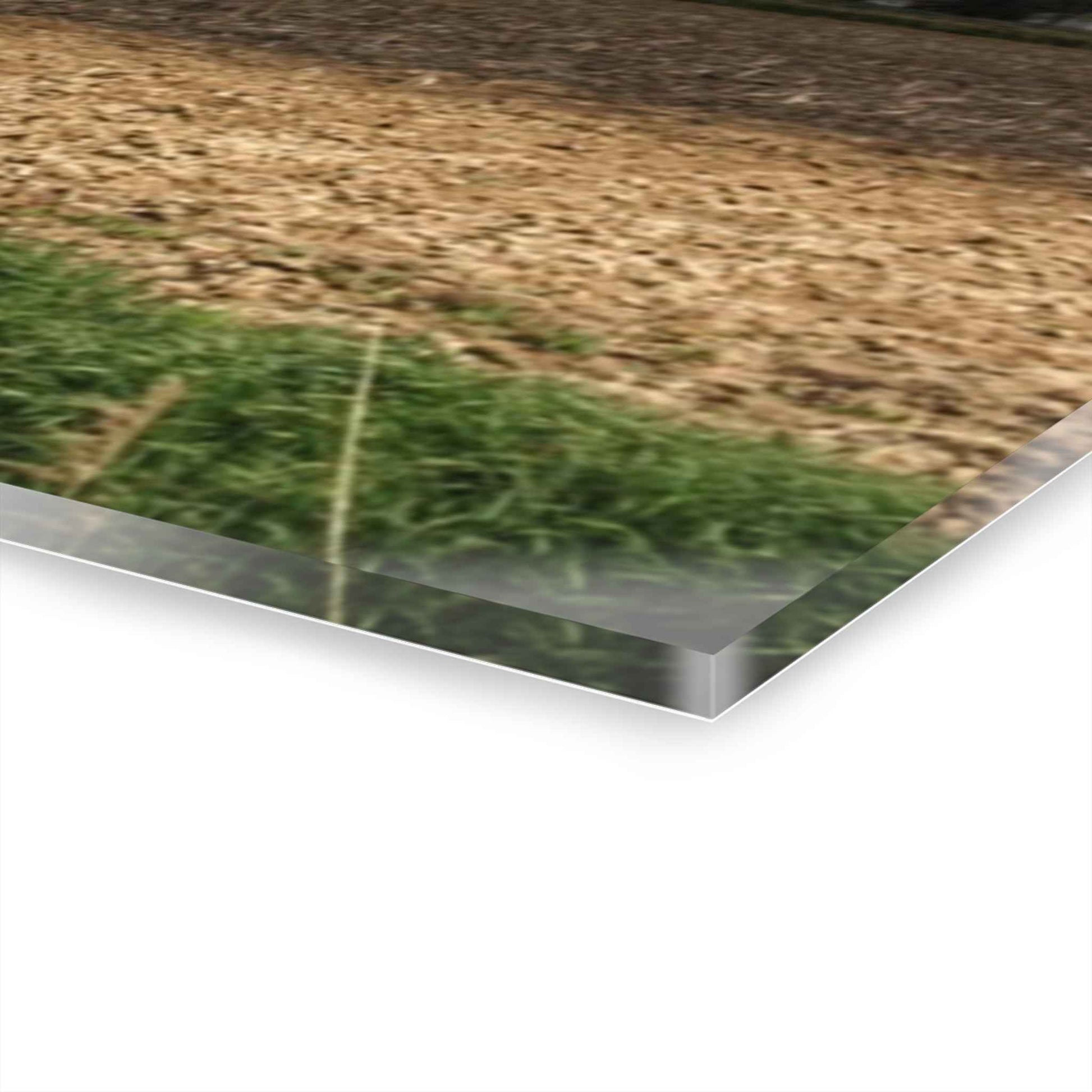 U R There Photography Sandusky Grey I Rustic Farmhouse Acrylic Wall Print