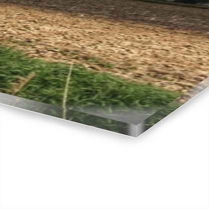 U R There Photography Sandusky Grey I Rustic Farmhouse Acrylic Wall Print