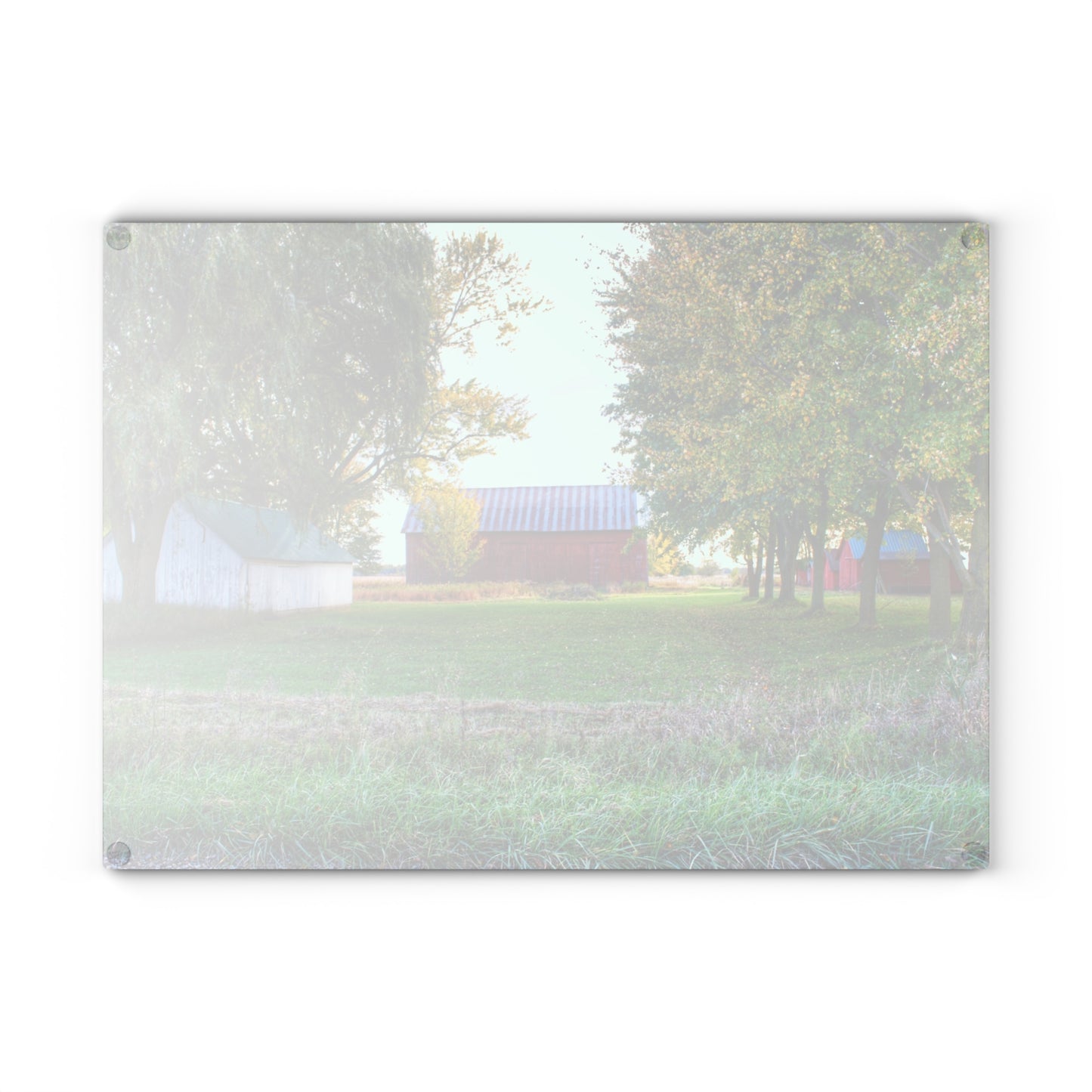 U R There Photography Wilcox Road Reds Rustic Farmhouse Tempered-Glass Cutting Board