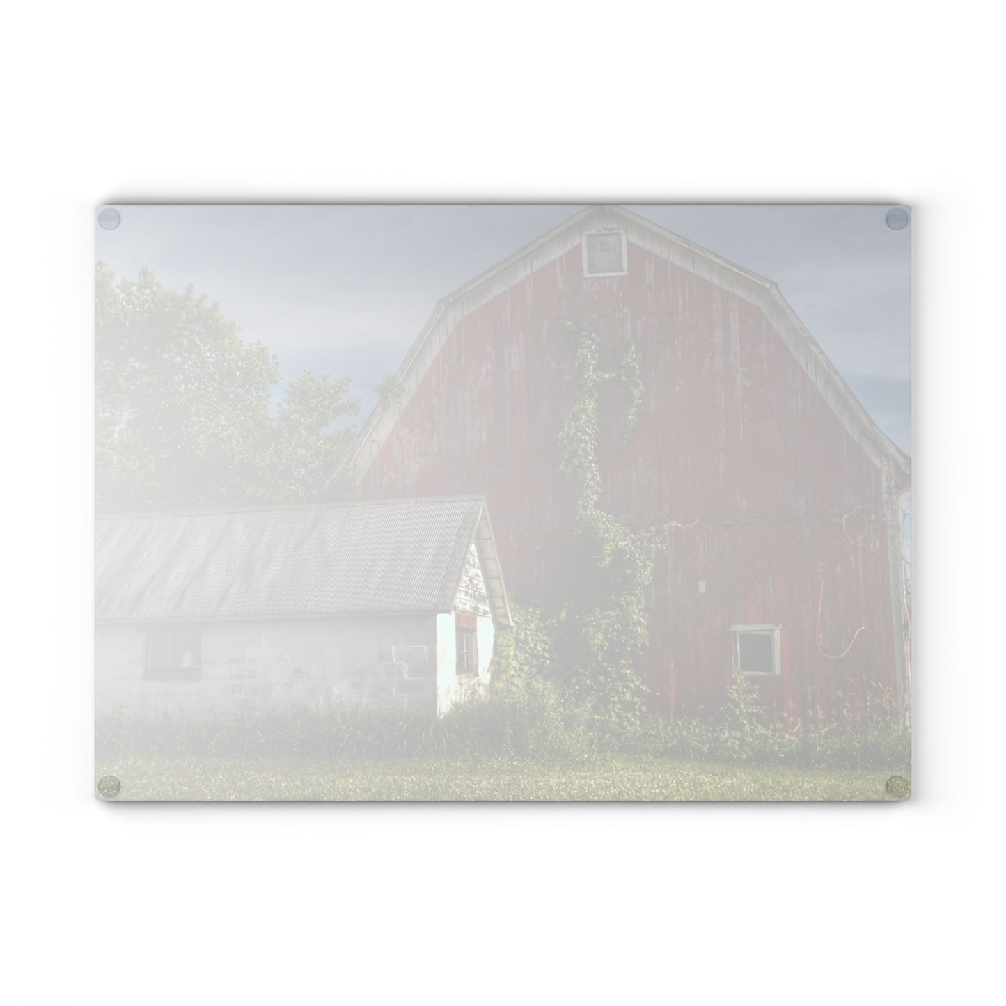 U R There Photography Stanley Road Red in Summer II Rustic Farmhouse Tempered-Glass Cutting Board