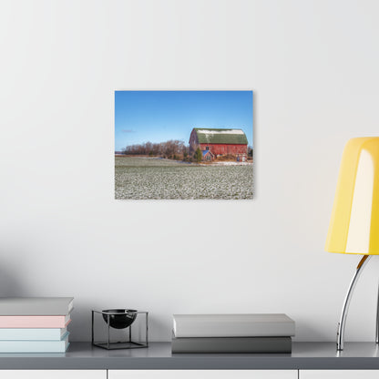 U R There Photography Early Spring Red II Rustic Farmhouse Acrylic Wall Print