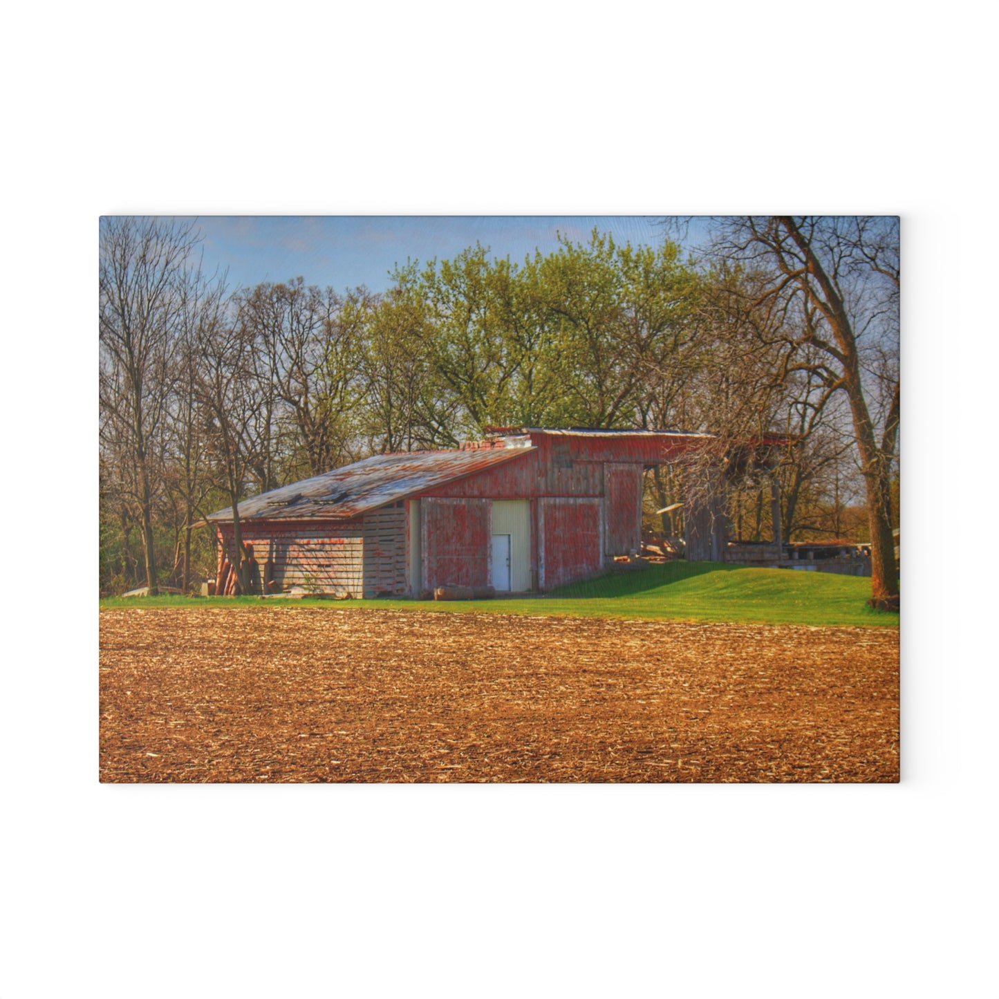 U R There Photography Sohn Roadside Relic Rustic Farmhouse Tempered-Glass Cutting Board