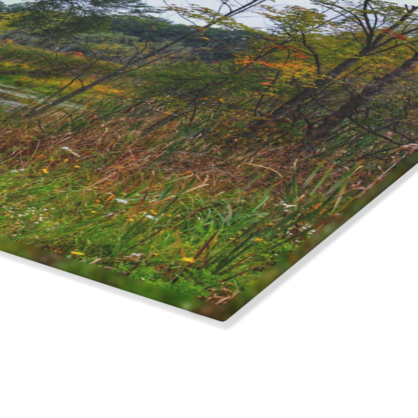 U R There Photography A River Runs Through It Rustic Farmhouse Tempered-Glass Cutting Board