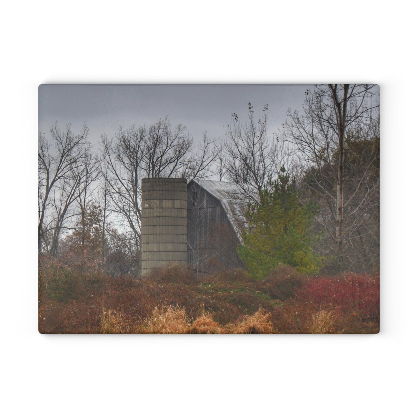 U R There Photography Freiberger Road Hidden Grey Rustic Farmhouse Tempered-Glass Cutting Board