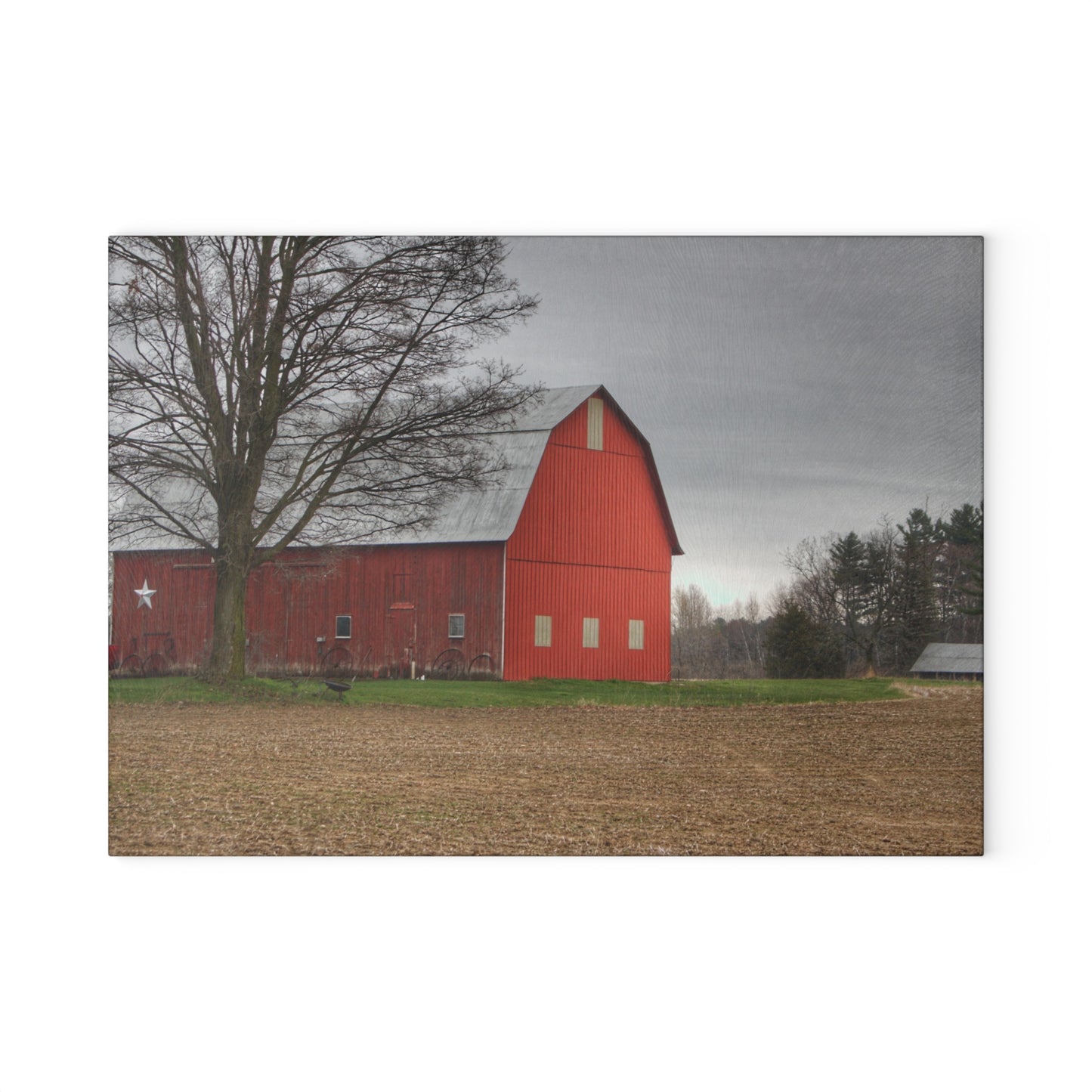 U R There Photography South Summers Road Star Barn Rustic Farmhouse Tempered-Glass Cutting Board