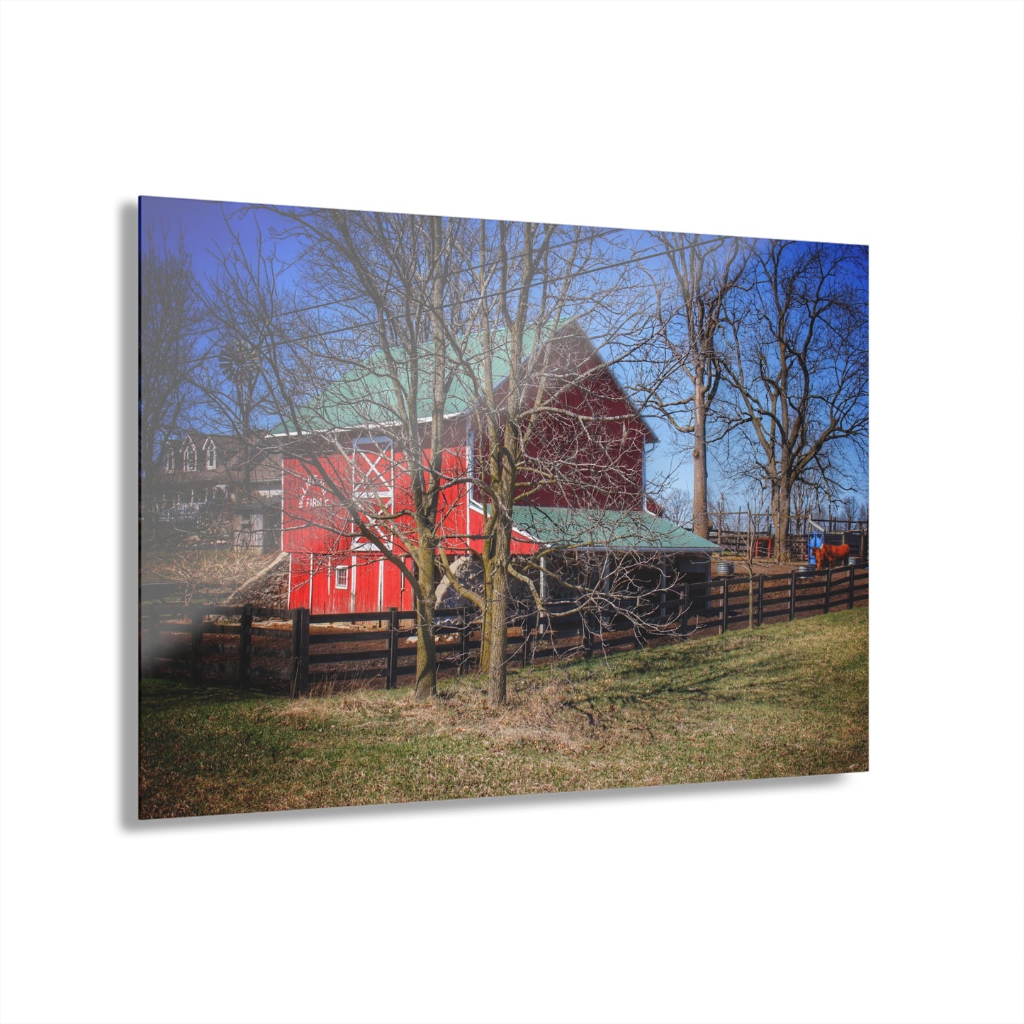 U R There Photography Imlay City Road Cow Barn II Rustic Farmhouse Acrylic Wall Print 14 "x 11"