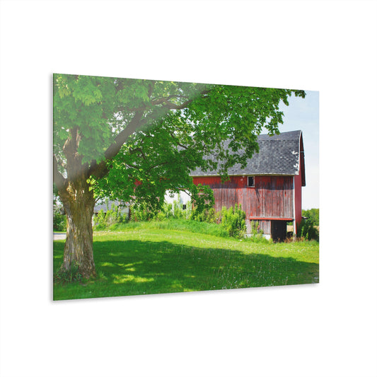 U R There Photography Colwood Road Red Rustic Farmhouse Acrylic Wall Print