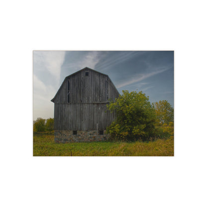 U R There Photography Cat Lake Grey I Rustic Farmhouse Decorative Ceramic Tile