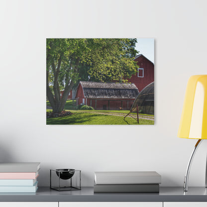 U R There Photography Hidden Reds Rustic Farmhouse Acrylic Wall Print