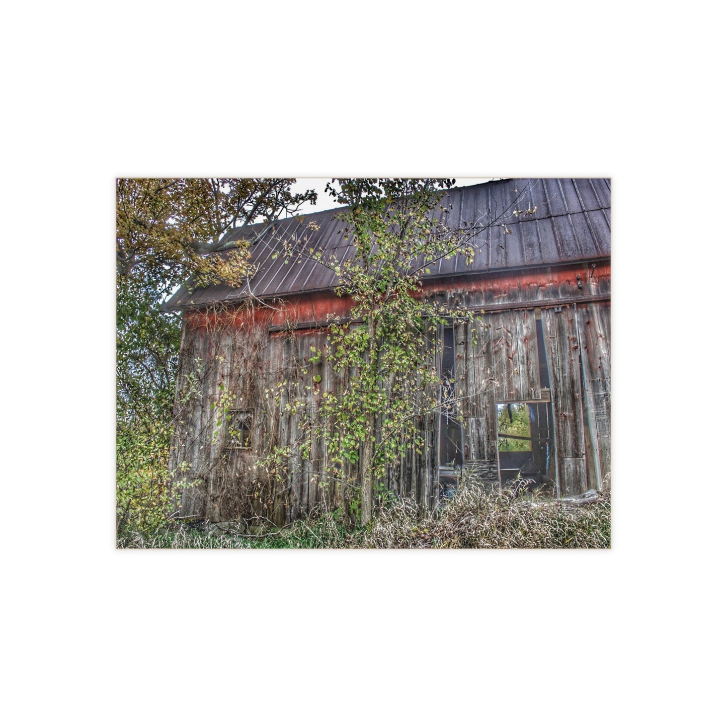 U R There Photography Annie's Barn II Rustic Farmhouse Decorative Ceramic Tile