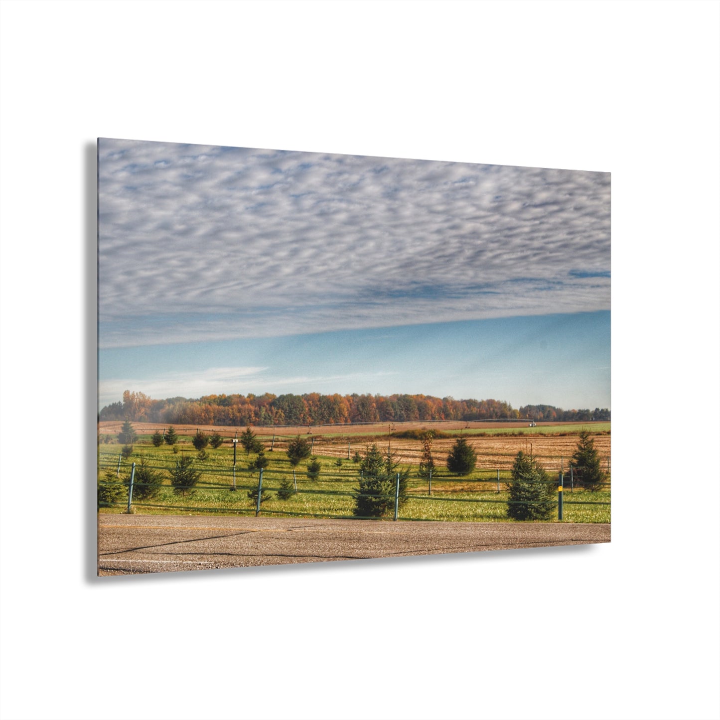 U R There Photography Fences, Firs and Fall Rustic Farmhouse Acrylic Wall Print
