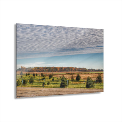 U R There Photography Fences, Firs and Fall Rustic Farmhouse Acrylic Wall Print