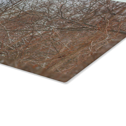 U R There Photography Hough Road Hidden Winter Red I Rustic Farmhouse Tempered-Glass Cutting Board