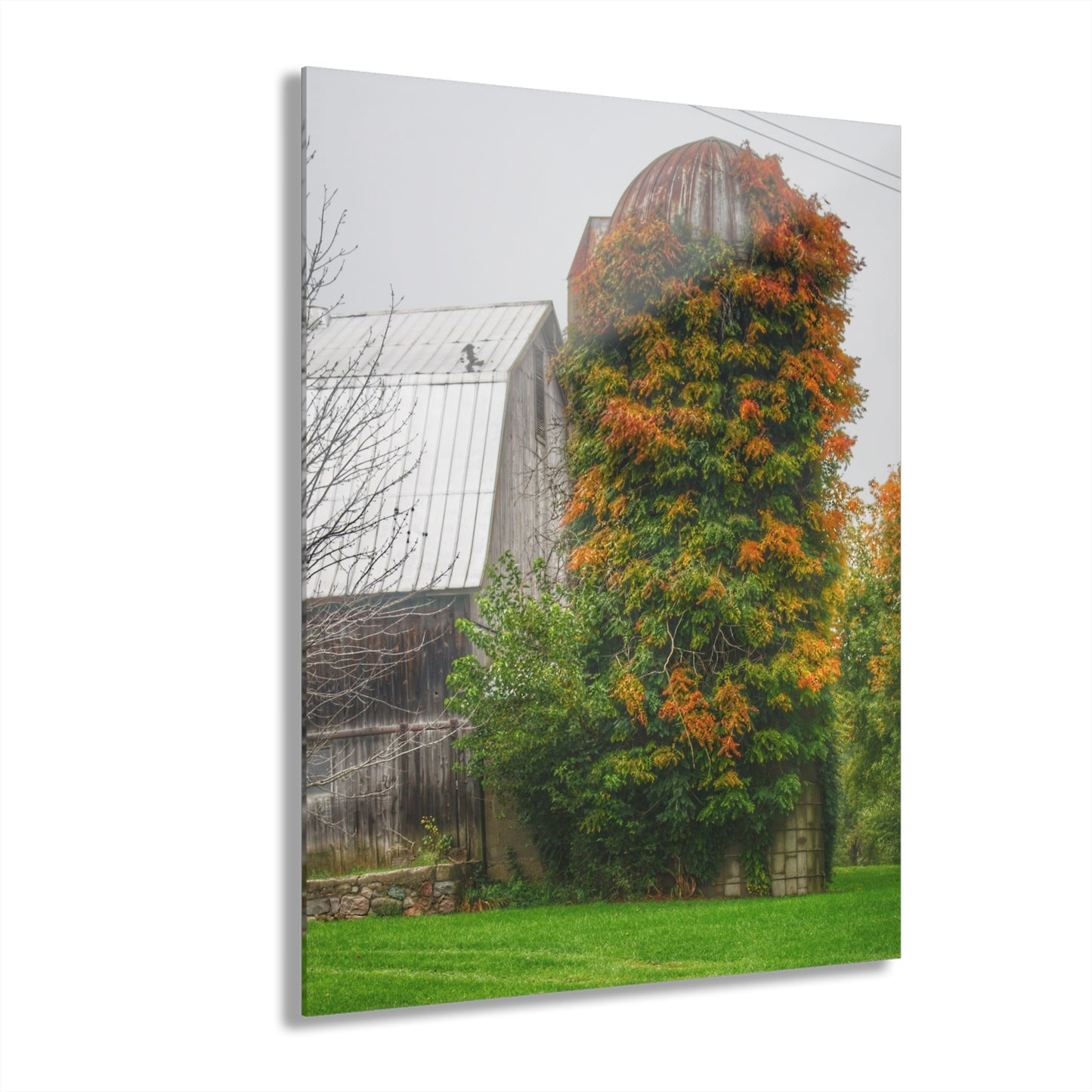 U R There Photography Ludwig Road Oxford Grey and Silo Rustic Farmhouse Acrylic Wall Print
