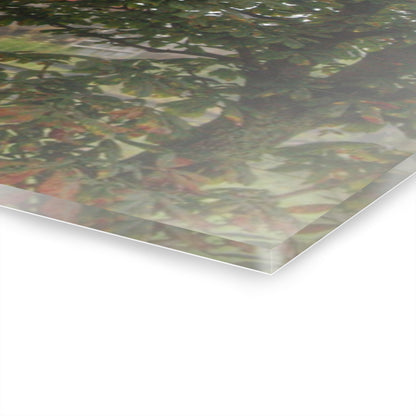 U R There Photography Five Lakes Road Red I Rustic Farmhouse Acrylic Wall Print