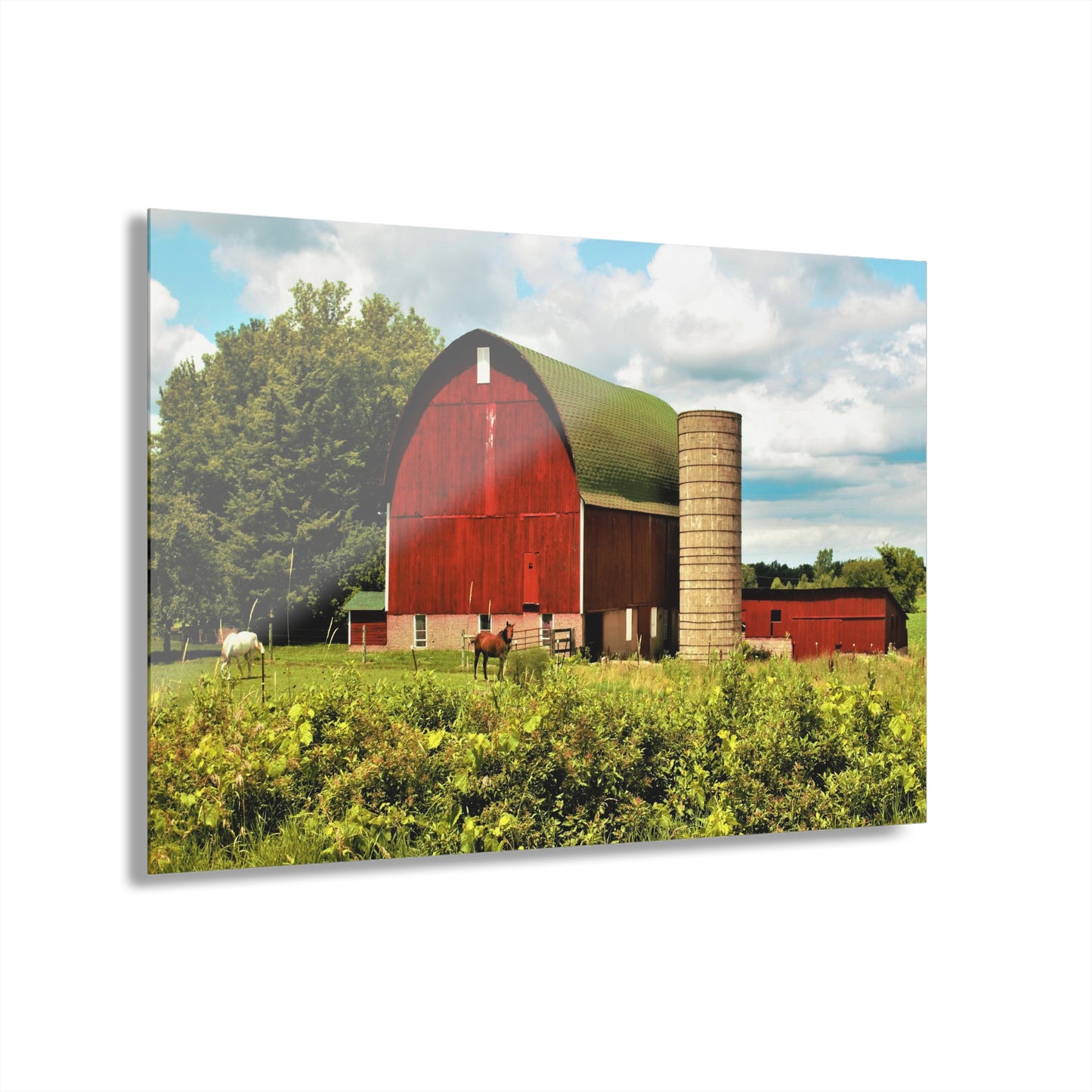U R There Photography Elmwood Road Red and Horses Rustic Farmhouse Acrylic Wall Print
