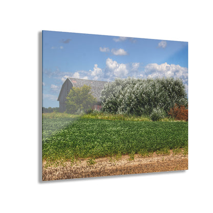 U R There Photography Lake Road Grey Rustic Farmhouse Acrylic Wall Print