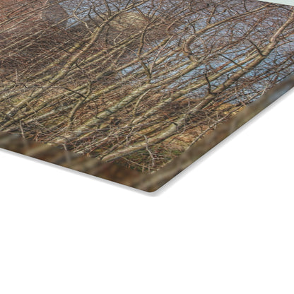 U R There Photography Otter Lake Hidden Red Rustic Farmhouse Tempered-Glass Cutting Board