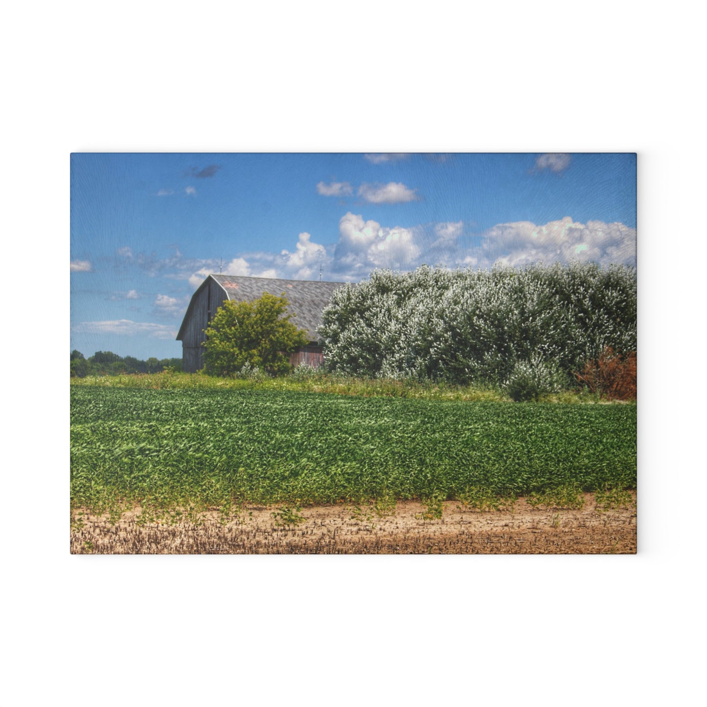 U R There Photography Lake Road Grey Rustic Farmhouse Tempered-Glass Cutting Board
