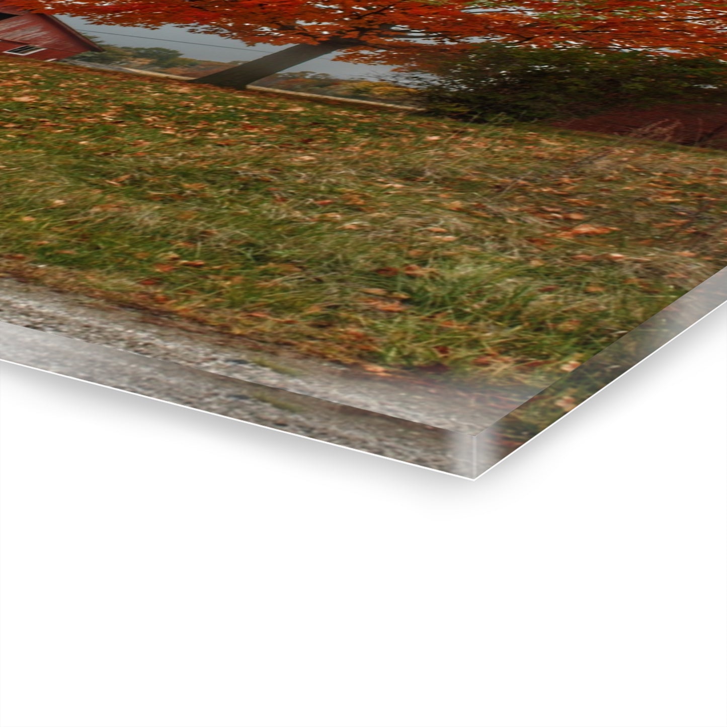 U R There Photography Goodrich Baldwin Road Reds II Rustic Farmhouse Acrylic Wall Print