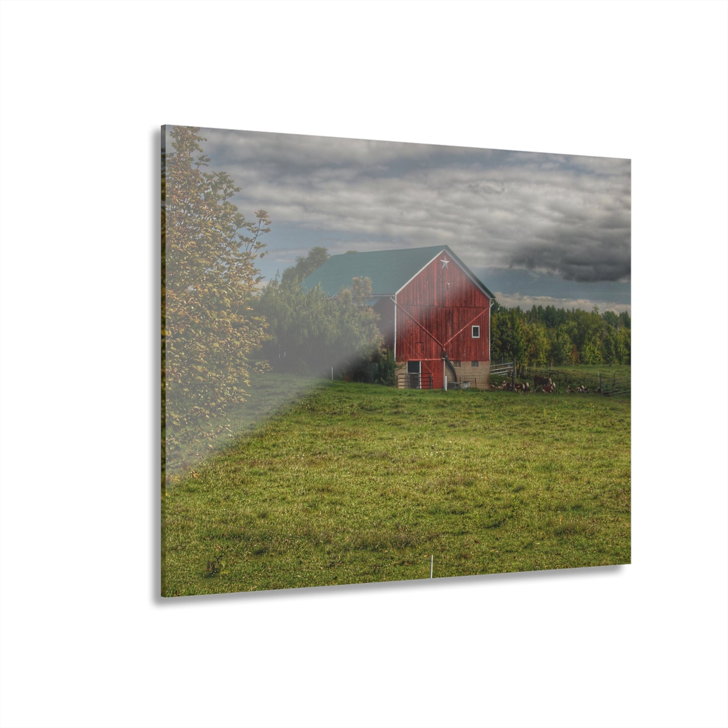 U R There Photography Kingston Plain Road Cow Barn Rustic Farmhouse Acrylic Wall Print