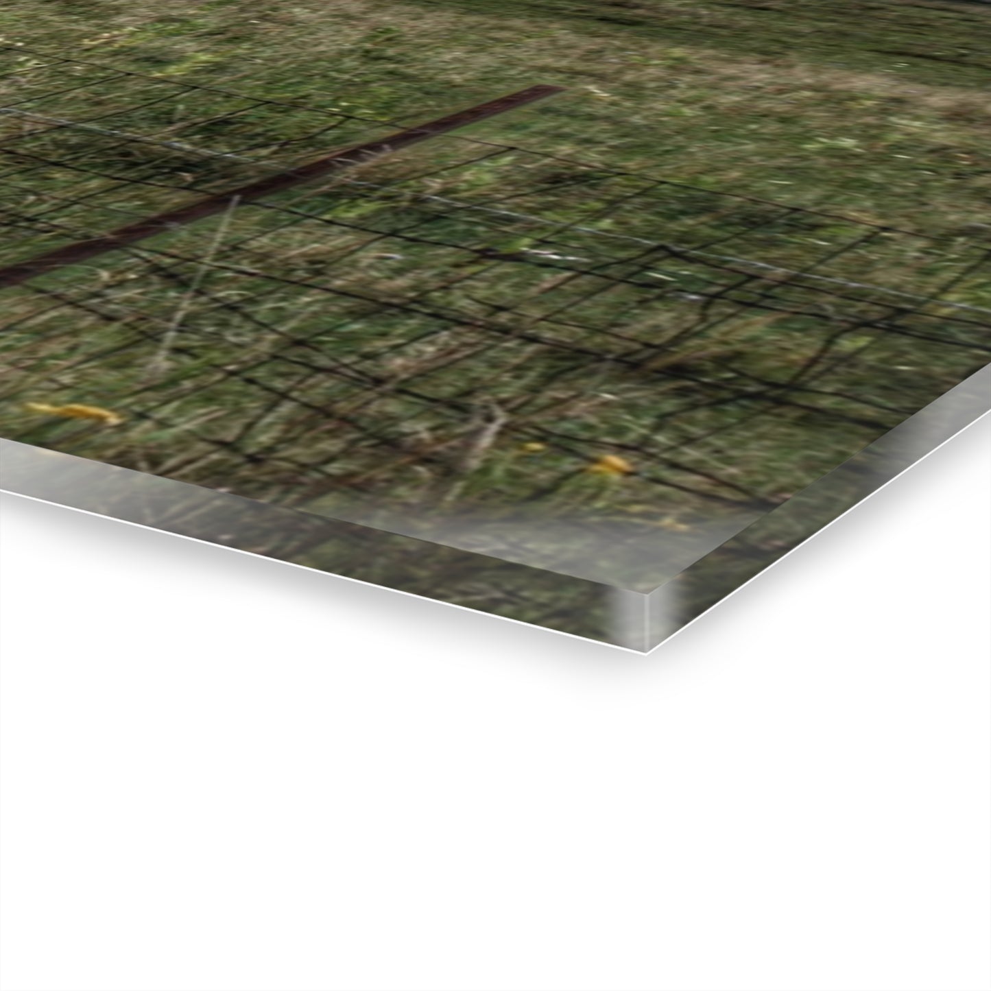 U R There Photography Newark Road Tilted Grey I Rustic Farmhouse Acrylic Wall Print