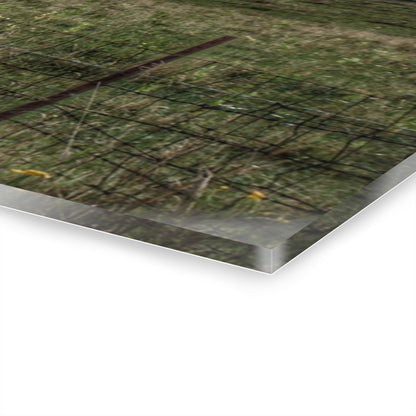 U R There Photography Newark Road Tilted Grey I Rustic Farmhouse Acrylic Wall Print