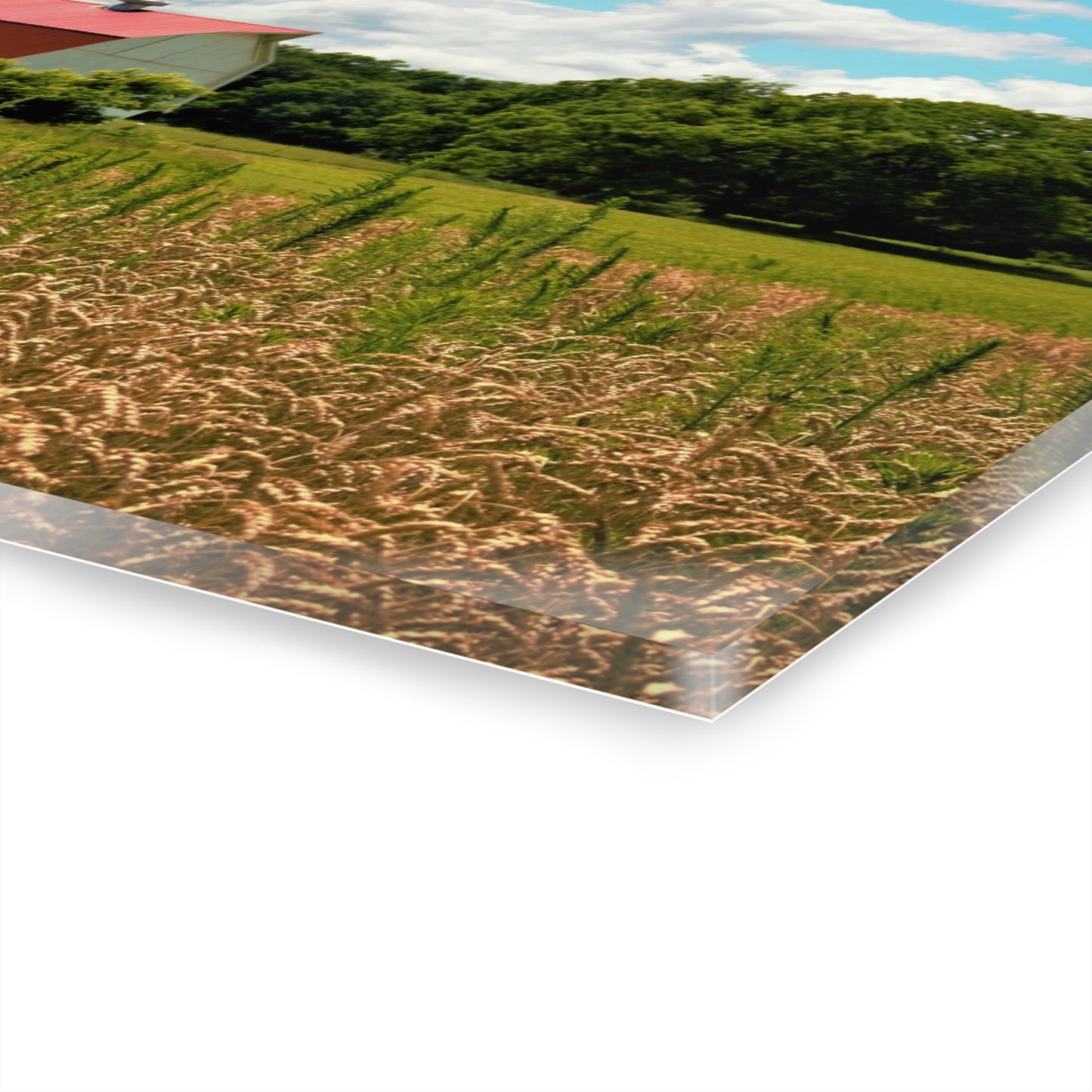 U R There Photography Northern White Rustic Farmhouse Acrylic Wall Print