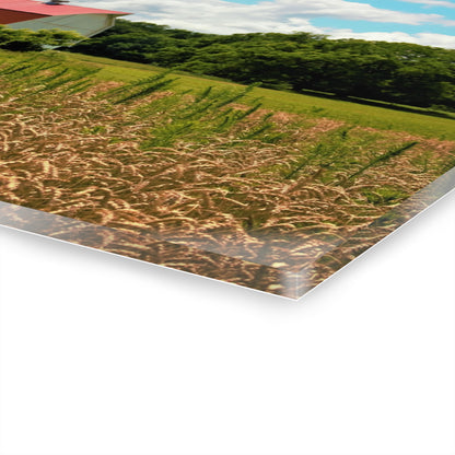 U R There Photography Northern White Rustic Farmhouse Acrylic Wall Print