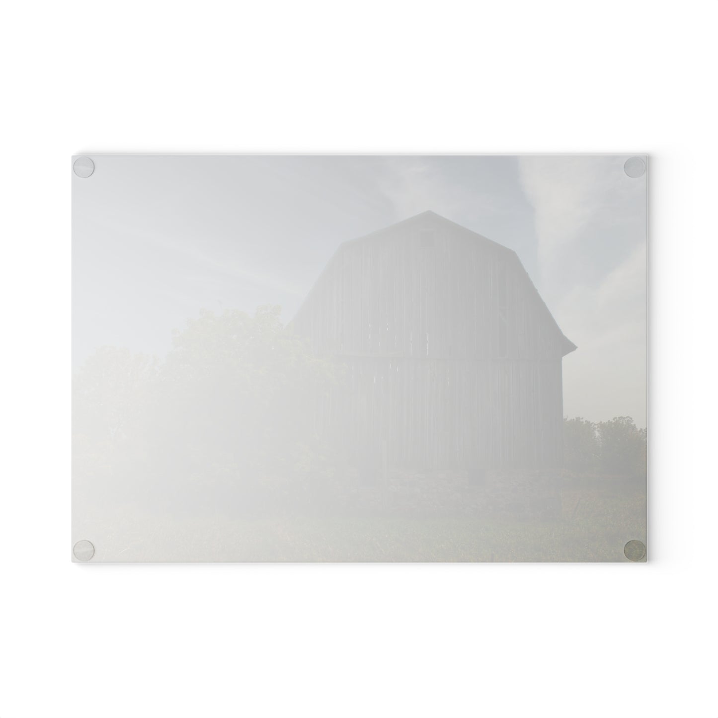 U R There Photography Cat Lake Grey I Rustic Farmhouse Tempered-Glass Cutting Board