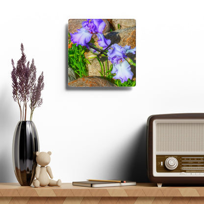 Rustic Farmhouse Wall Clock featuring Saint Hugo Iris