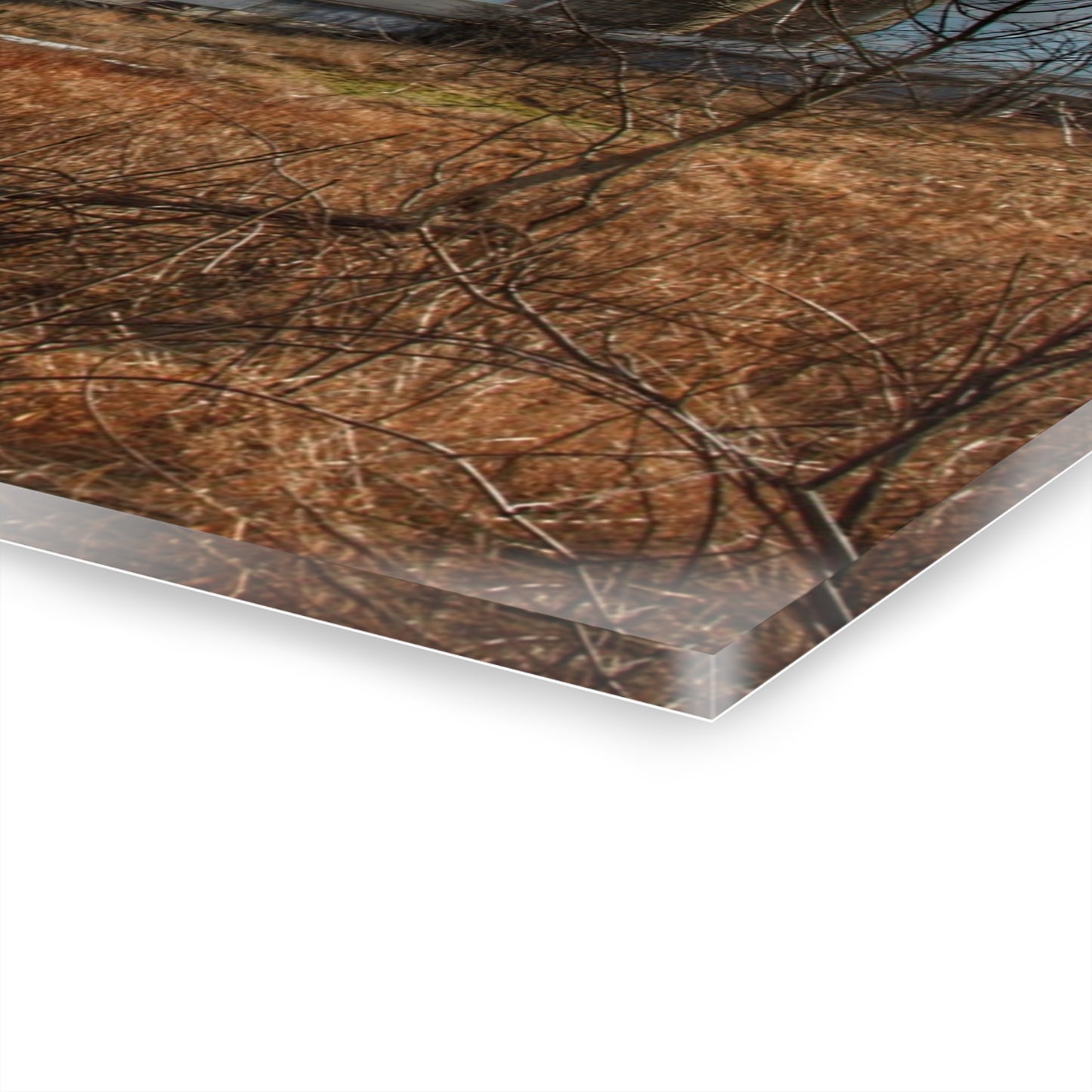 U R There Photography Newark Road White II Rustic Farmhouse Acrylic Wall Print